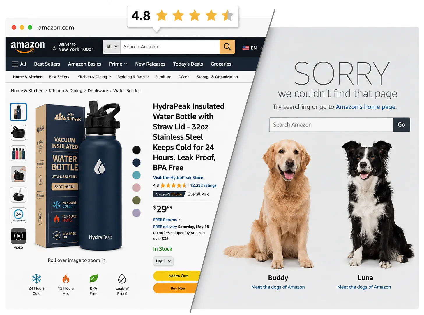 Amazon Listing Reinstatement